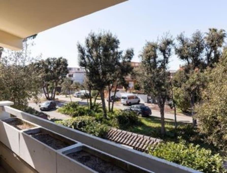 Magnifica Villa A Fregene Fregenae Exterior foto